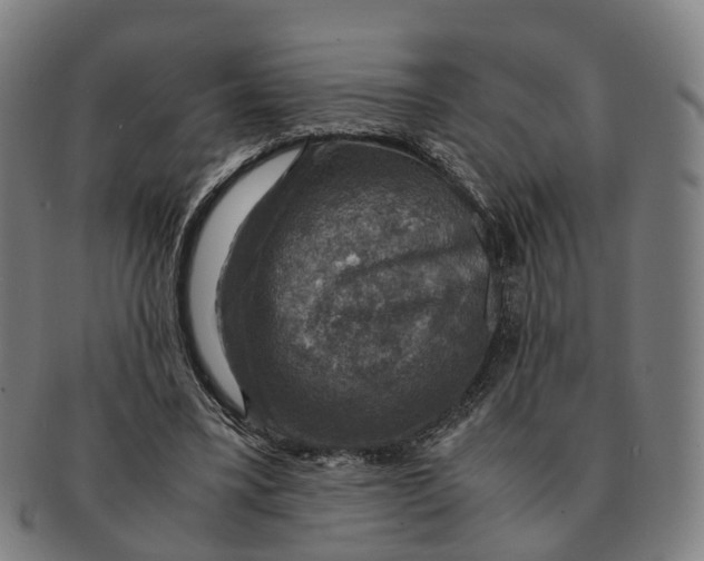 X0000091010395200708301403