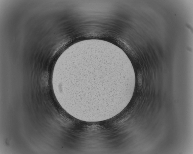 X0000091010396200708301403