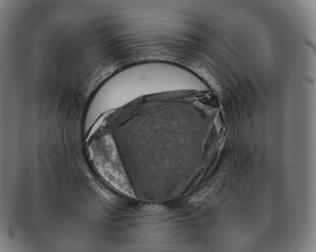 X0000091010397200708301403