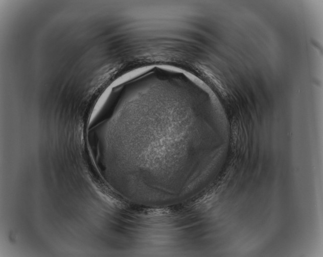 X0000091010398200708301403