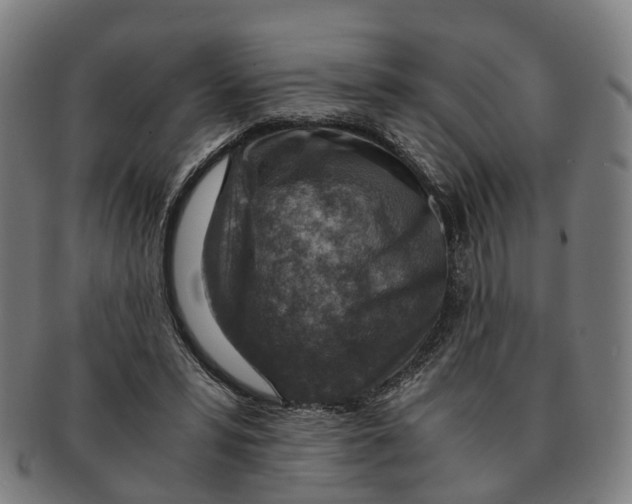 X0000091010399200708301403