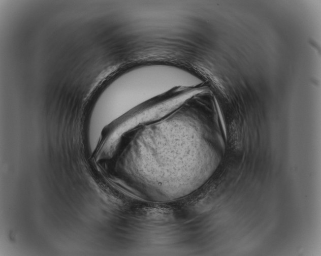 X0000091010400200708301403