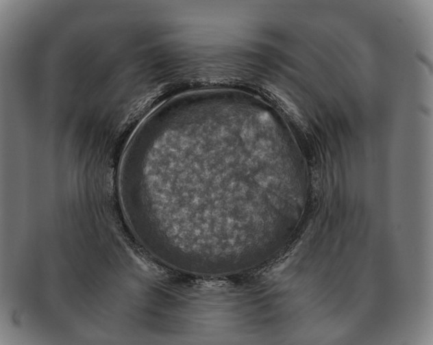 X0000091010401200708301403