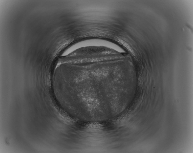X0000091010403200708301403