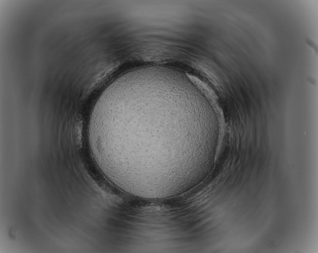X0000091010404200708301403