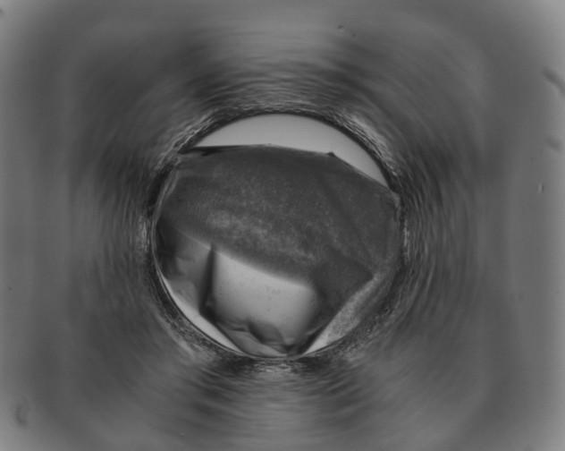 X0000091010405200708301403