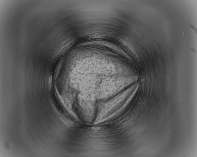 X0000091010406200708301403