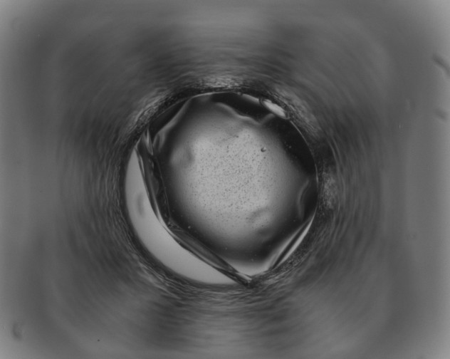 X0000091010407200708301403