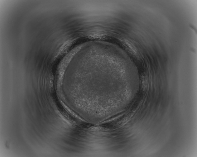 X0000091010408200708301403