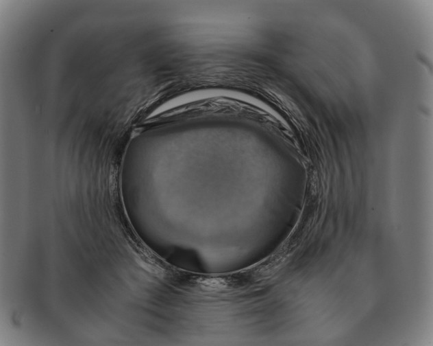 X0000091010409200708301403