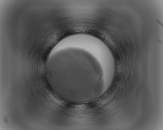 X0000091010411200708301403