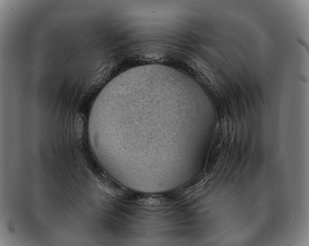 X0000091010412200708301403