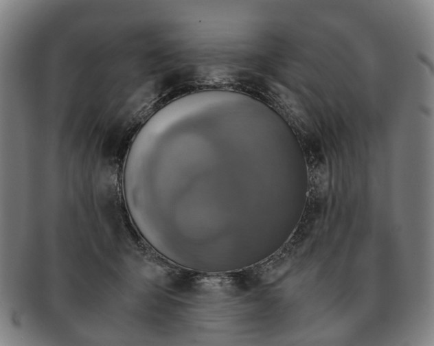 X0000091010415200708301403