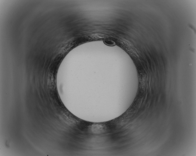 X0000091010418200708301402
