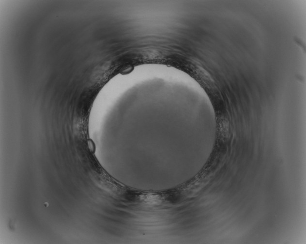 X0000091010419200708301402
