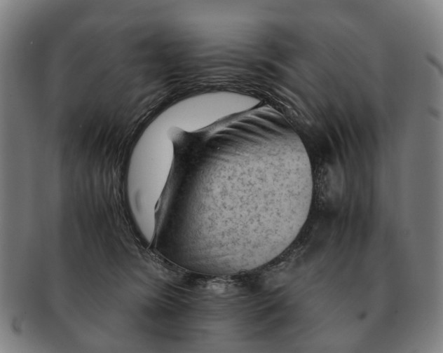 X0000091010420200708301402