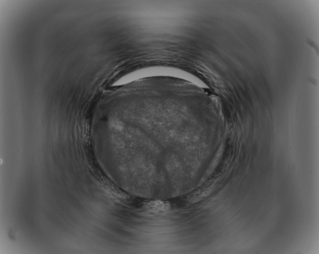 X0000091010421200708301402