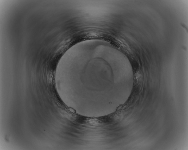 X0000091010423200708301402