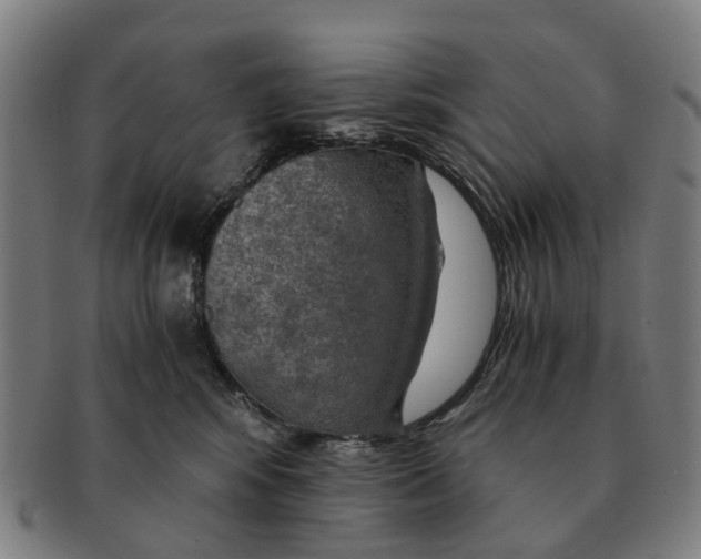 X0000091010424200708301402