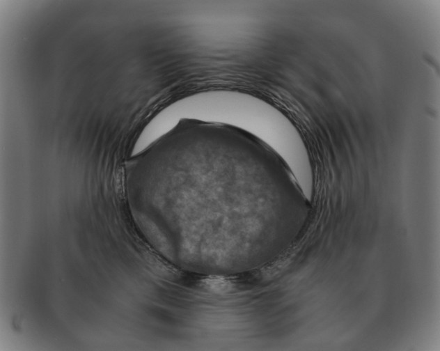 X0000091010425200708301402
