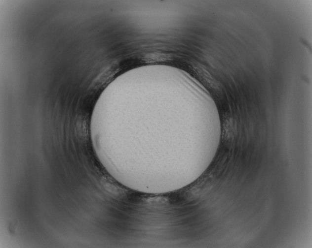X0000091010426200708301402