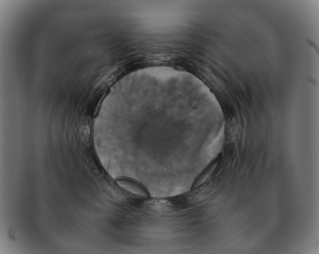 X0000091010427200708301402