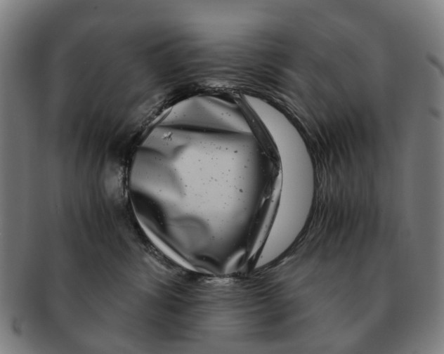 X0000091010428200708301402