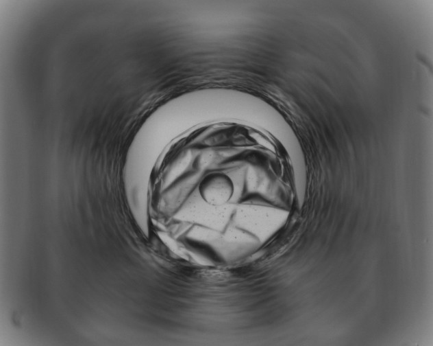 X0000091010429200708301402