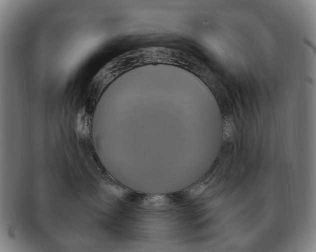 X0000091010431200708301402