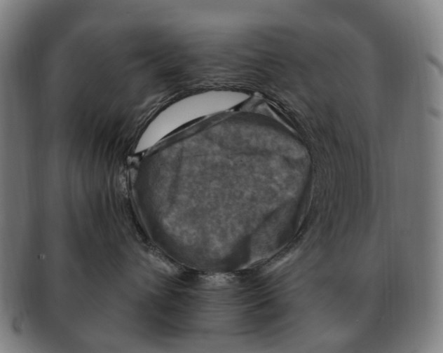 X0000091010432200708301402