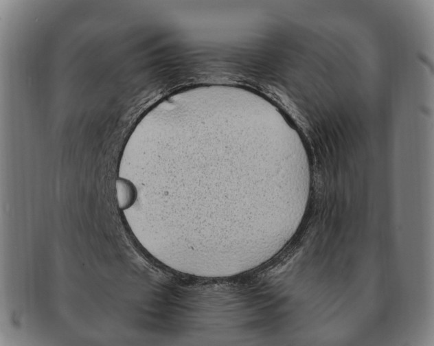 X0000091010433200708301401