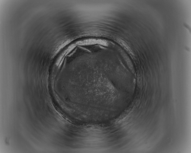 X0000091010434200708301401