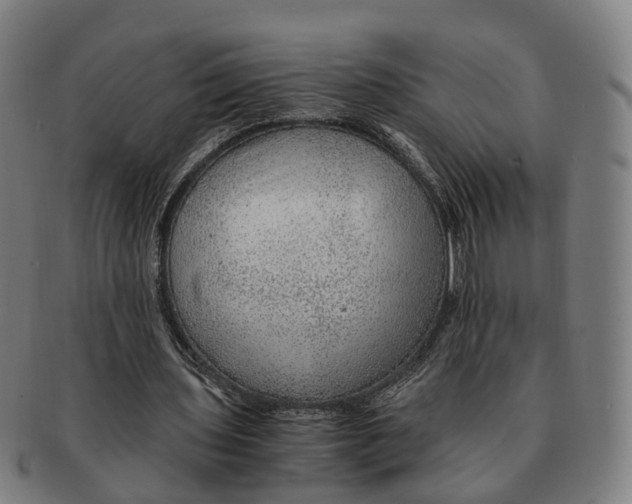 X0000091010435200708301401