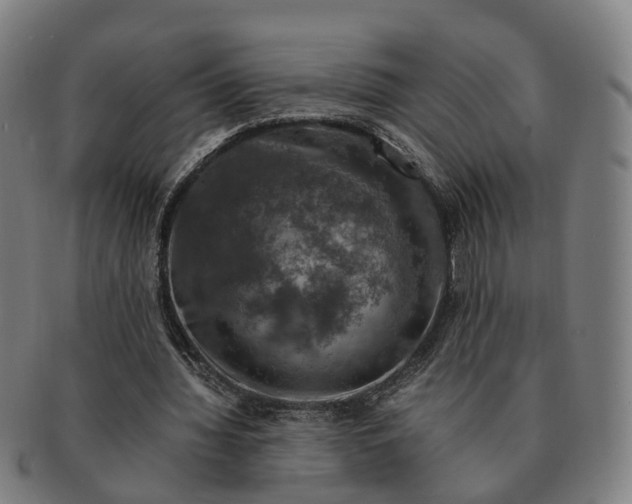 X0000091010436200708301401