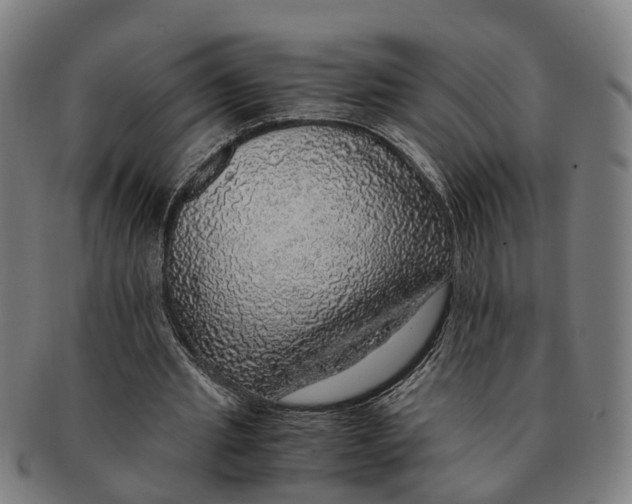 X0000091010437200708301401