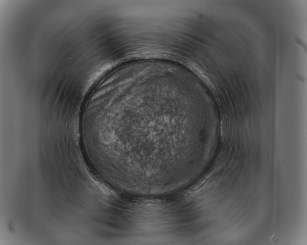 X0000091010438200708301401