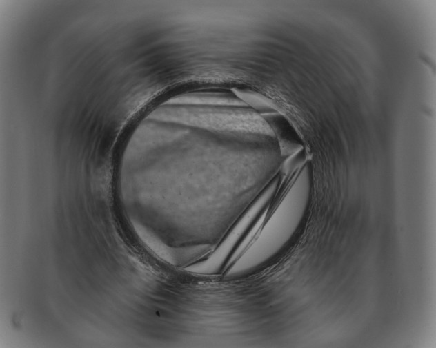 X0000091010440200708301401