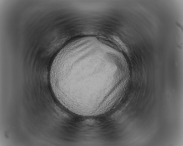 X0000091010441200708301401