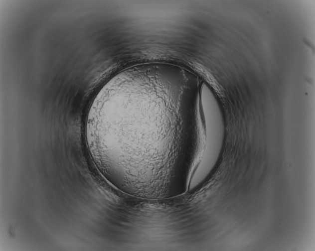 X0000091010442200708301401
