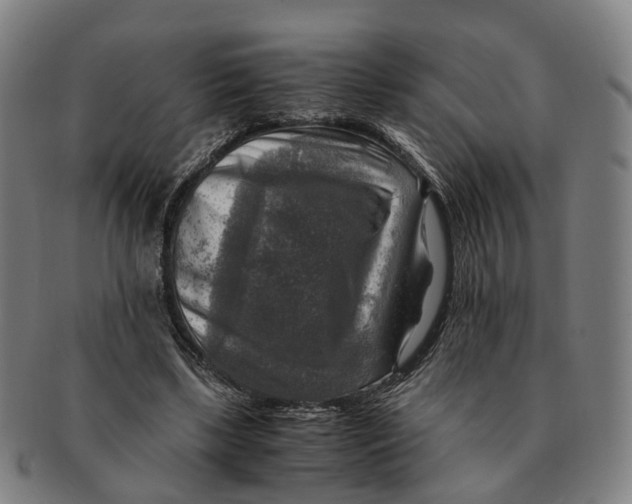 X0000091010443200708301402