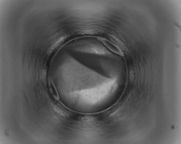 X0000091010444200708301402