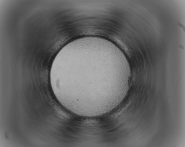 X0000091010445200708301402