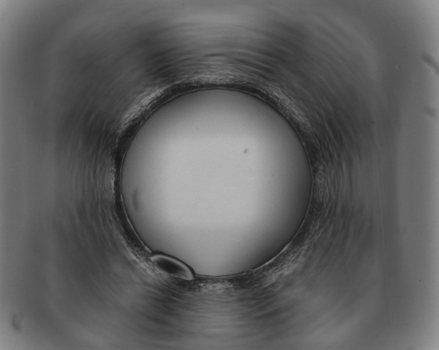X0000091010446200708301402