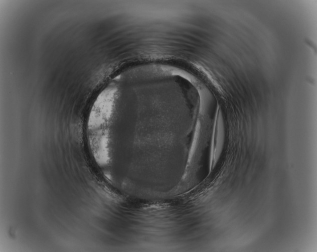 X0000091010447200708301402