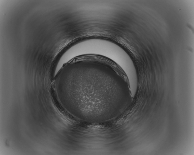 X0000091010448200708301402