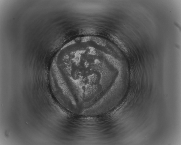 X0000091010449200708301402