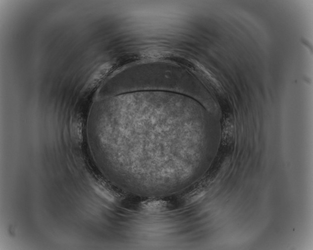 X0000091010452200708301402