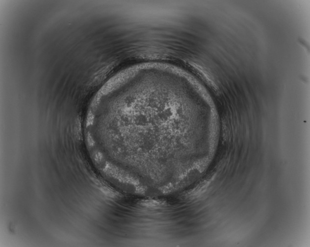 X0000091010453200708301402