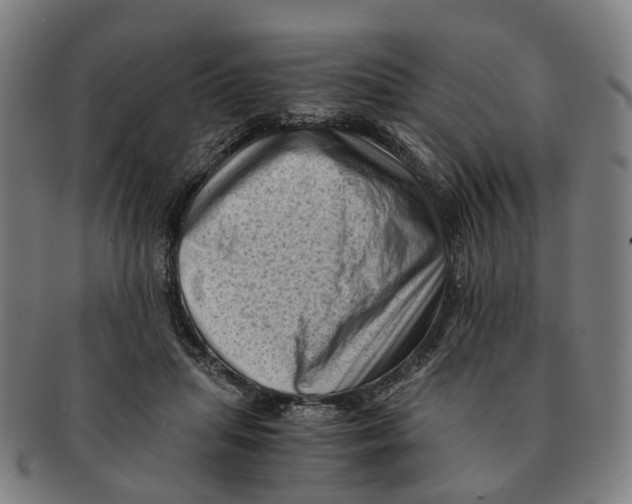 X0000091010455200708301402