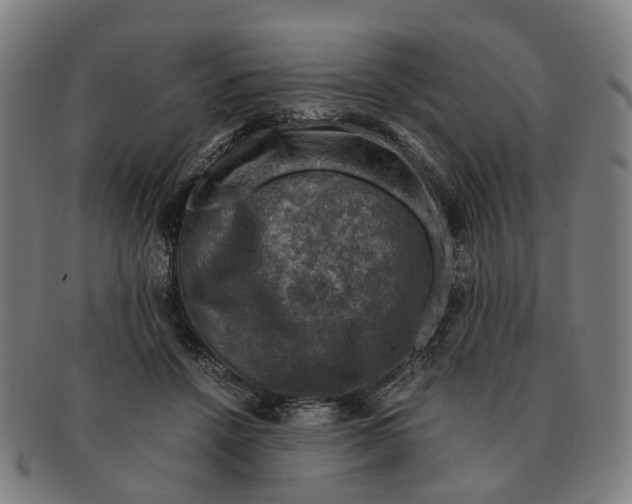 X0000091010456200708301402
